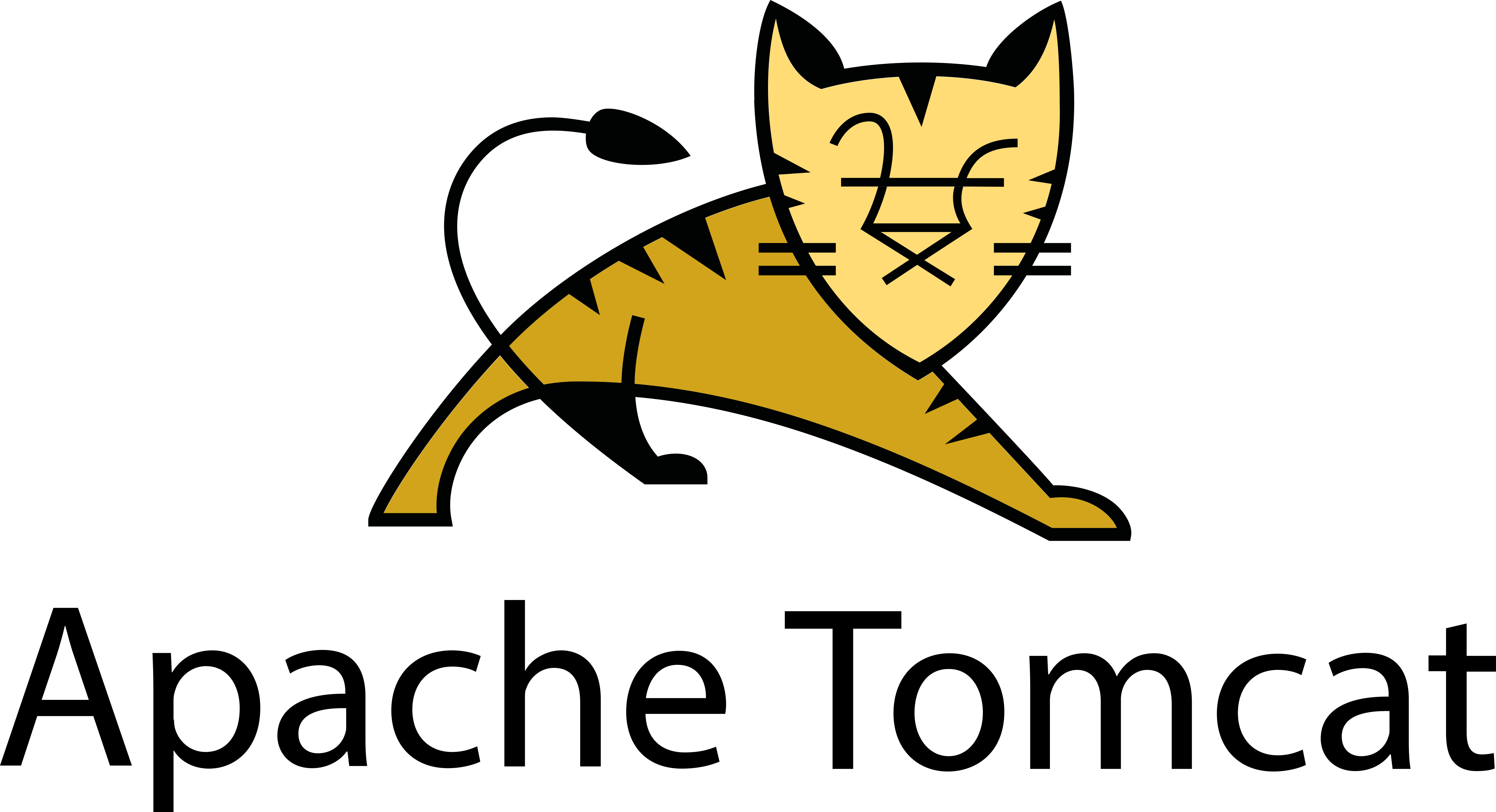 Tomcat